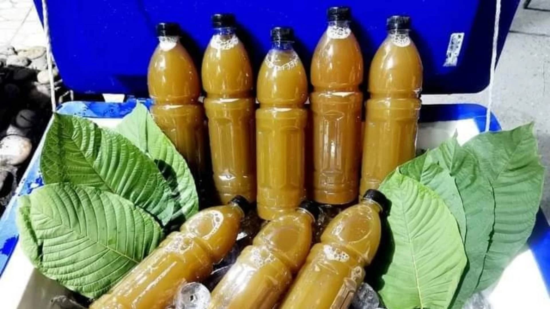 รีวิวรสชาติและคุณภาพน้ำกระท่อมเชียงใหม่จากหลายร้าน