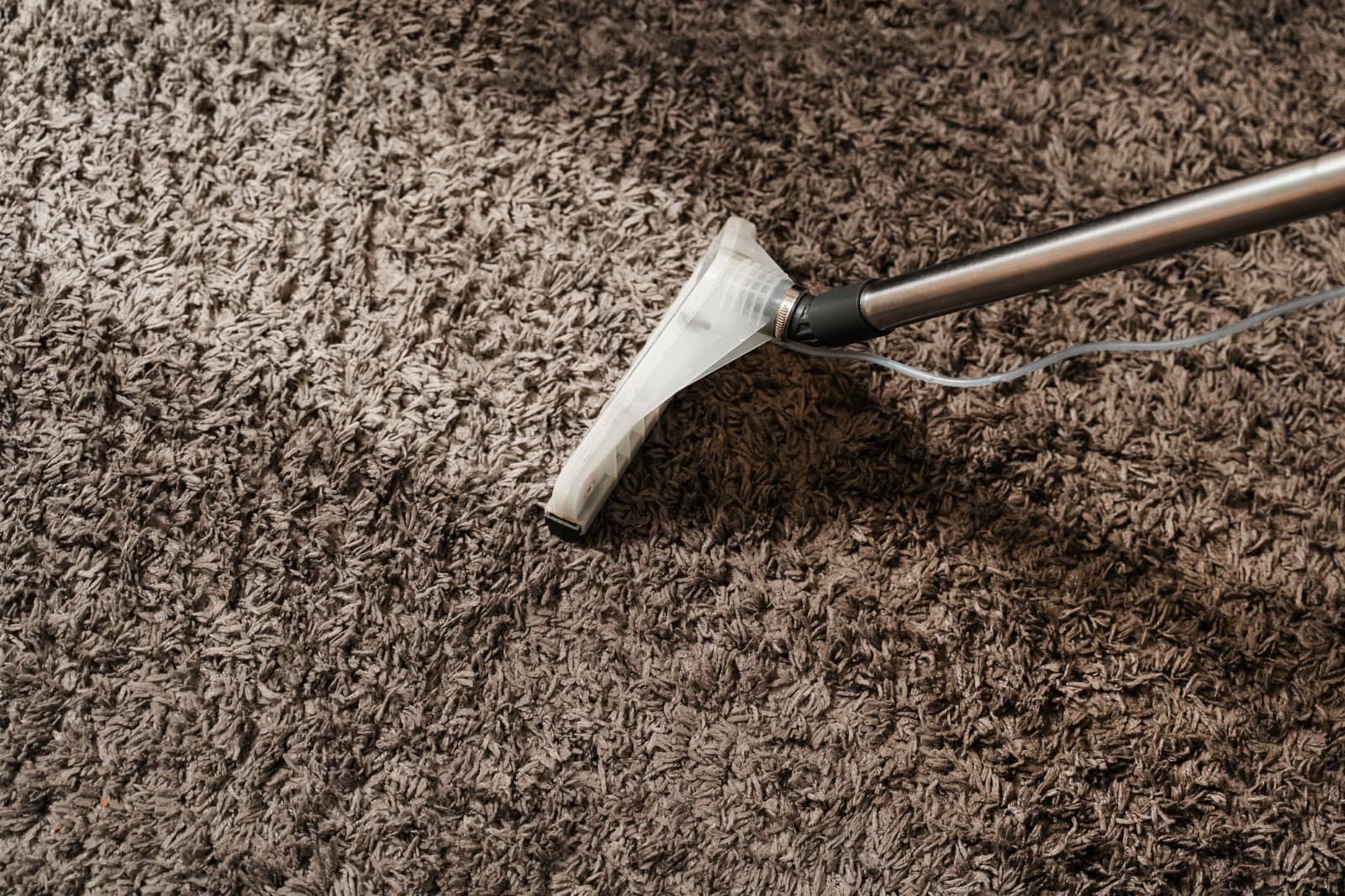 Guardian Carpet Cleaning – Local Carpet Cleaners You Can Trust