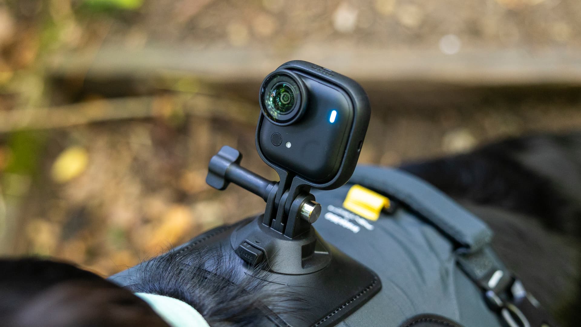 Insta 360 Go 3 vs Go 2: What’s New and Improved