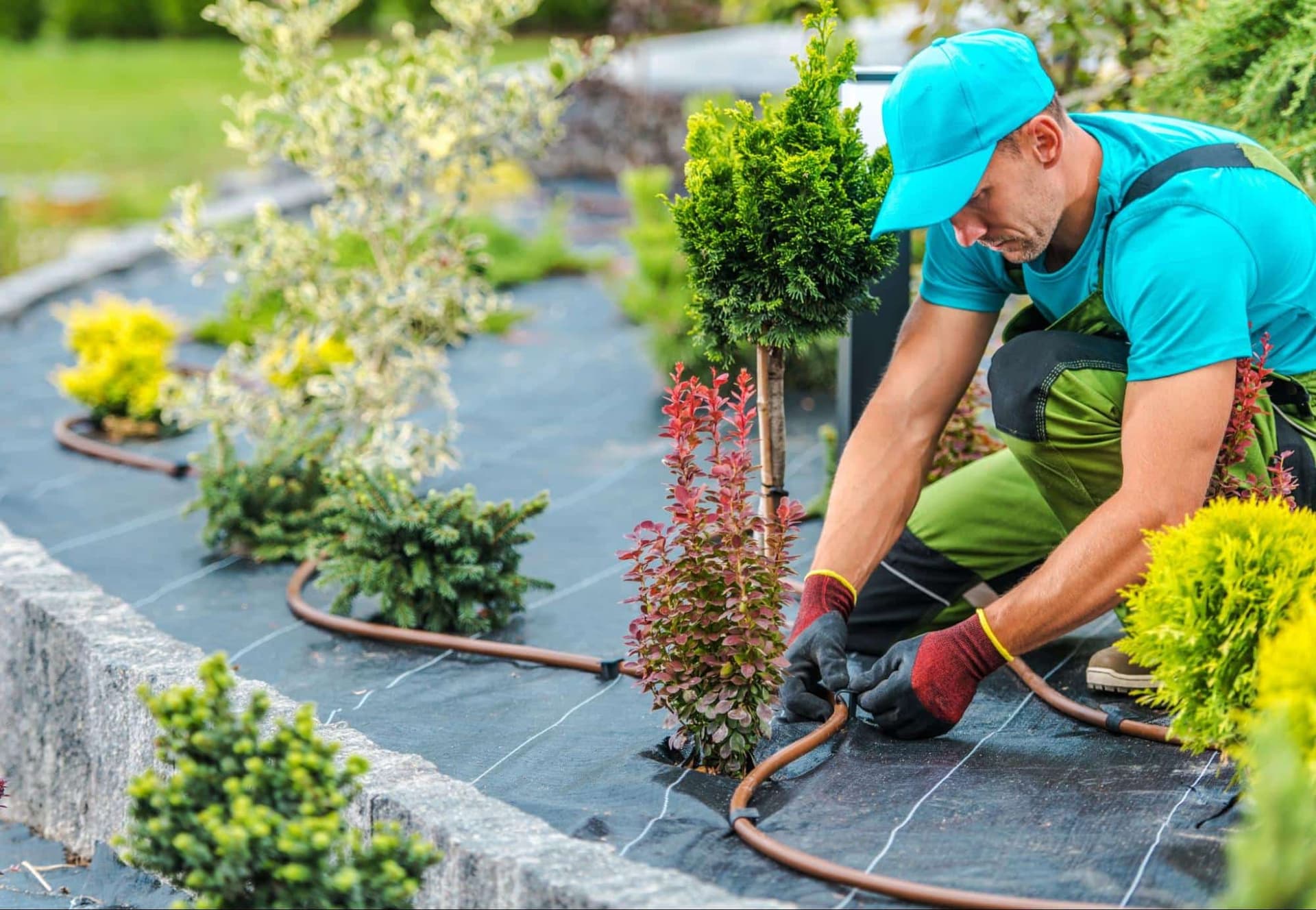Professional Irrigation Services in Haltom City, TX for Optimal Lawn Care