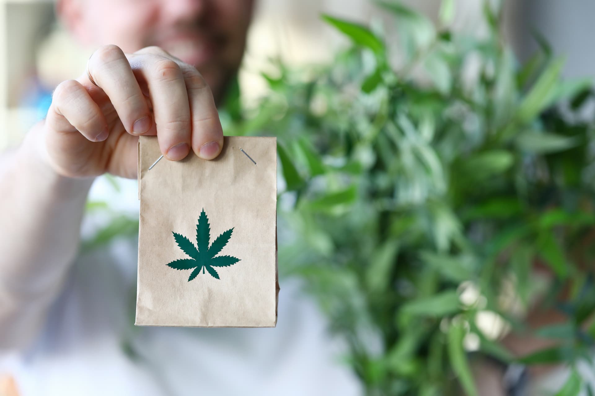 A CONSUMER’S GUIDE TO IDENTIFYING LEGITIMATE CANNABIS DELIVERY SERVICES