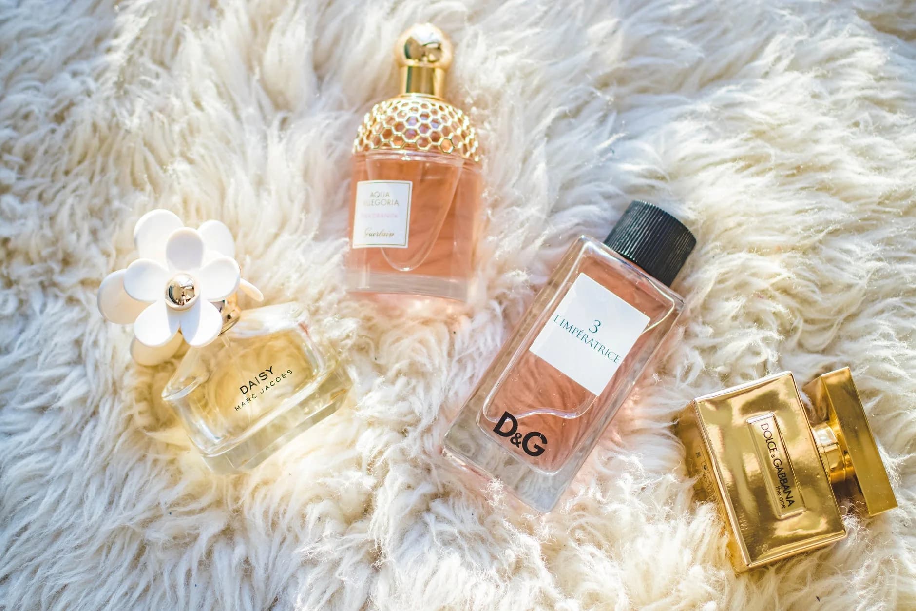 Paco Rabanne 1 Million Perfume – Spicy, Woody &amp; Unforgettable