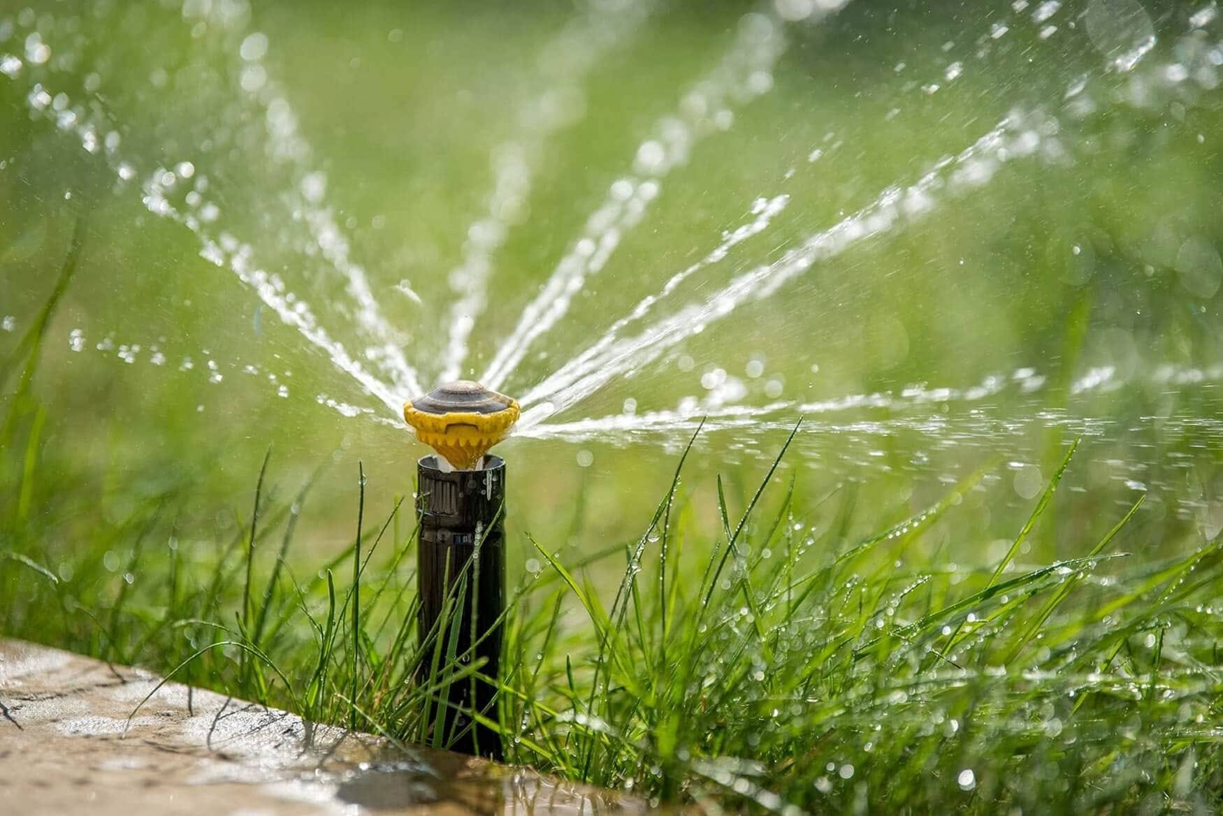 ENHANCE YOUR GARDEN WITH PROFESSIONAL IRRIGATION SERVICES IN ARLINGTON, TX