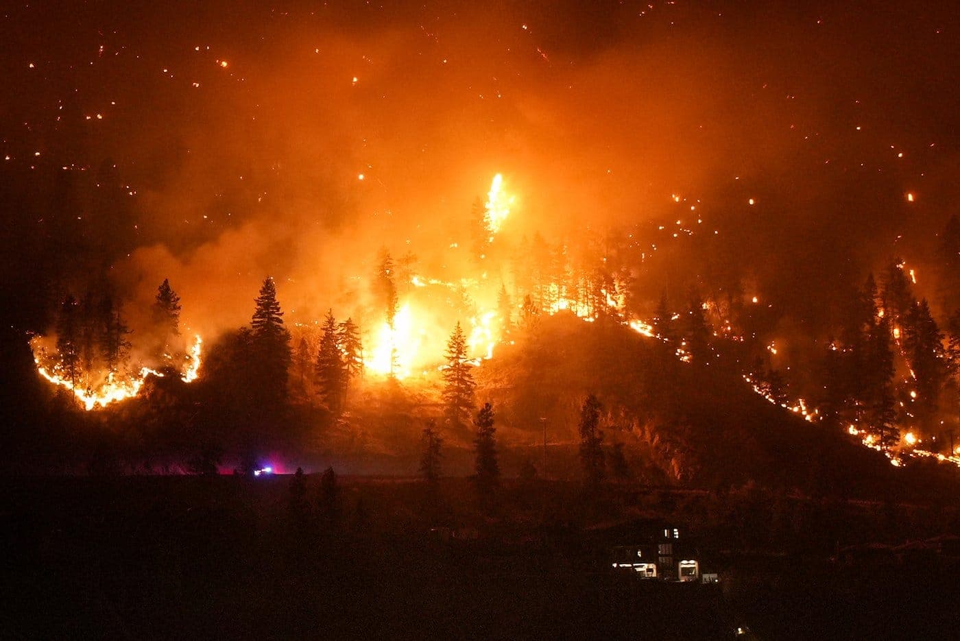 Wild Fire Events for Birthday Parties, Camps & More