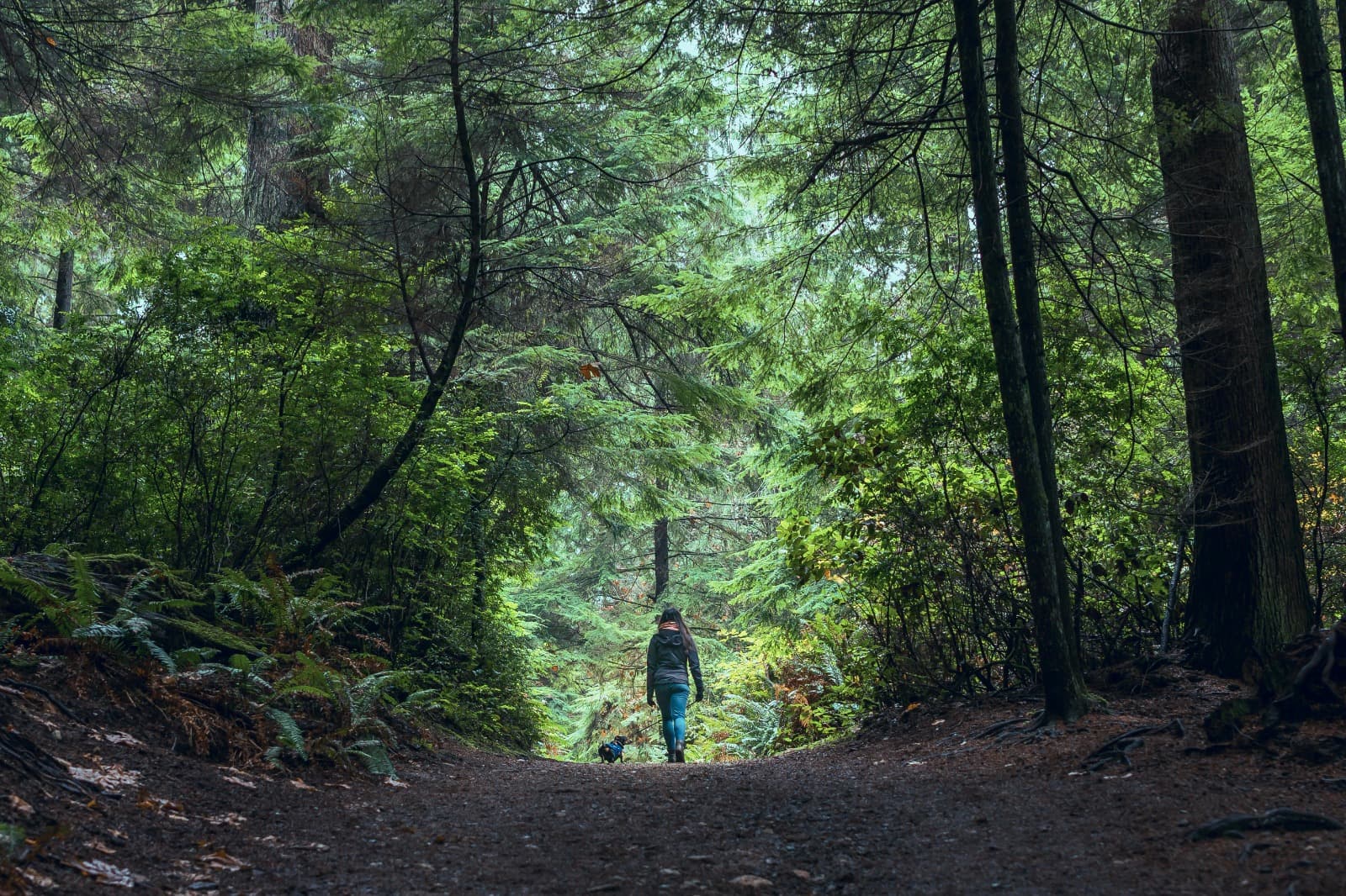 Cool Hiking Trails That Showcase Local Fauna and Flora