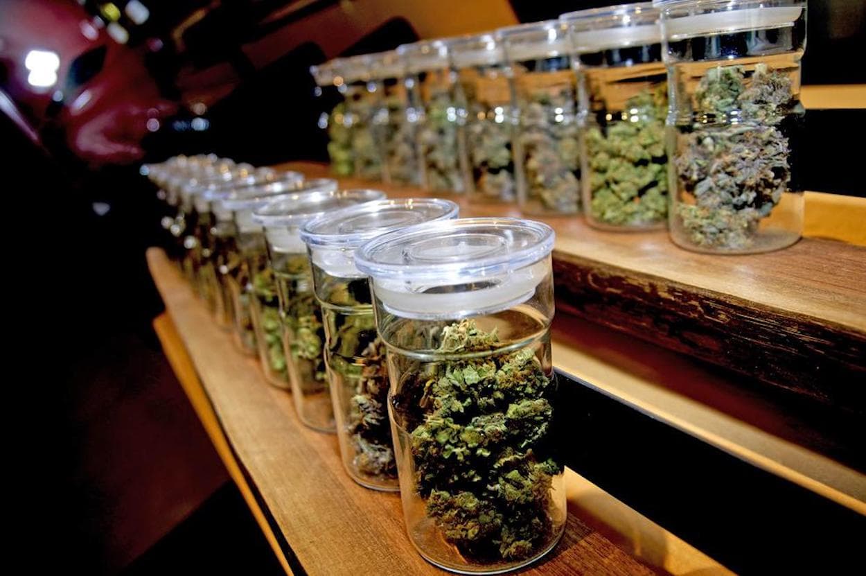 Insider insights into the Best Cannabis Club Lloret de Mar