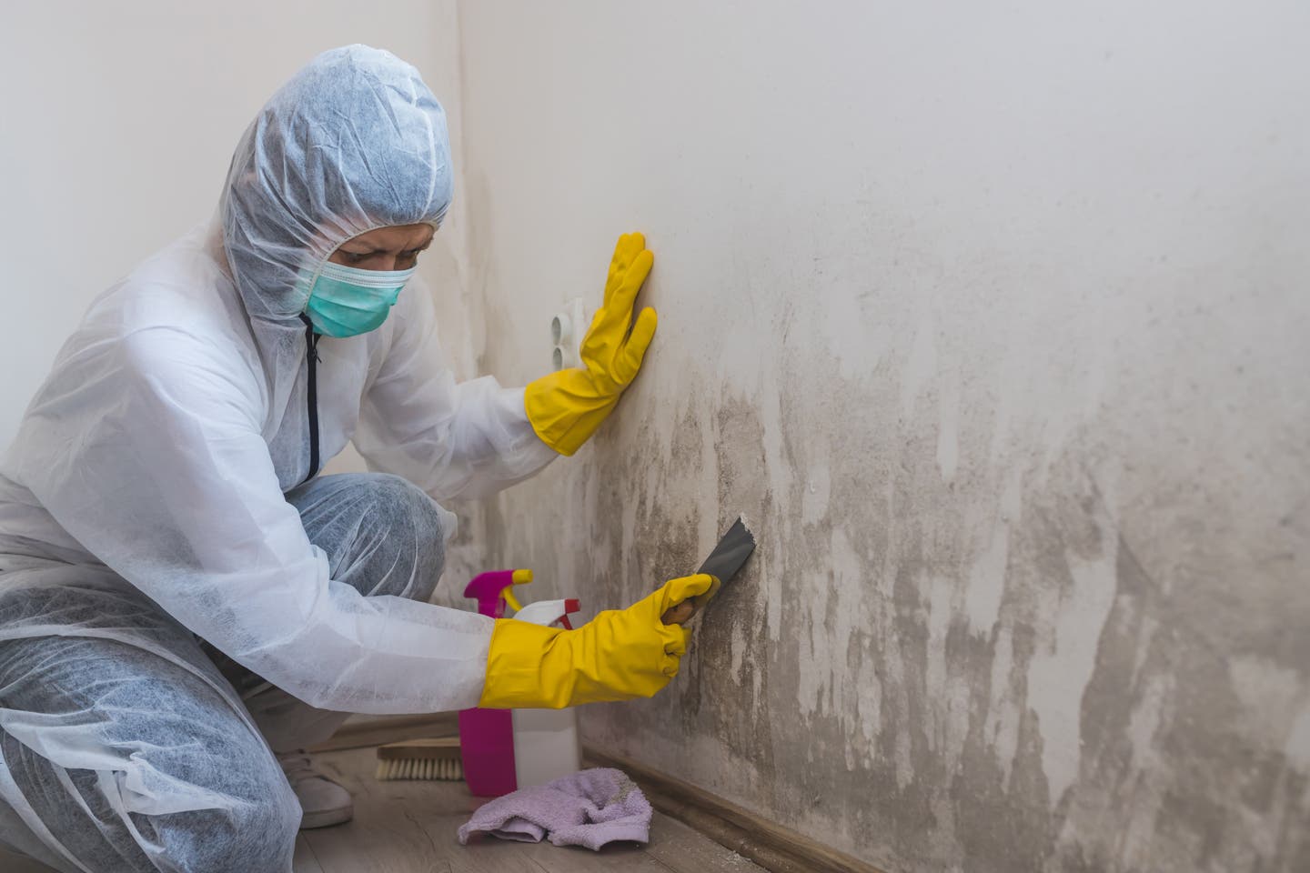 Top-Rated Restoration Company – mold remediation brentwood austin tx