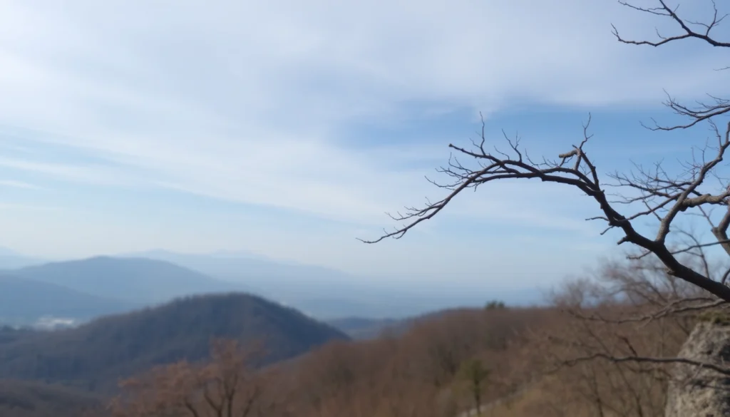 新車リースのオプションを選ぶお客様、選択肢の多さが際立つ印象。