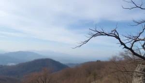 新車リースのオプションを選ぶお客様、選択肢の多さが際立つ印象。