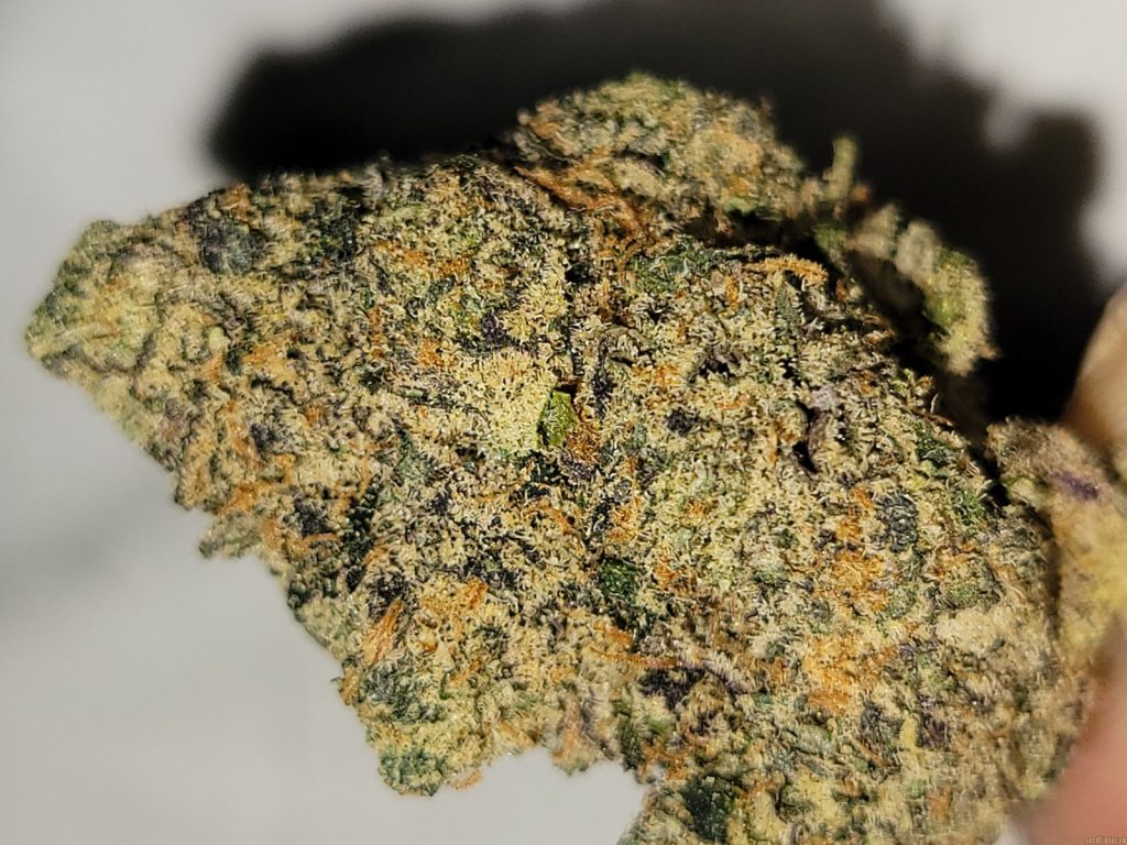 WhatsApp Image 2025-11-26 at 3.51.50 PM