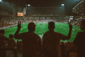 pexels-eslames1-31160099